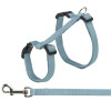 Harnais pour chat Maine Coon 34-57 cm