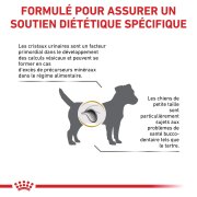 ROYAL CANIN Urinary S/O pour Chien Small