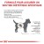ROYAL CANIN Urinary S/O pour Chien Small