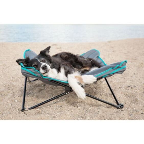Lit de camp pliable et surélevé pour chien