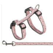 Harnais + Laisse pour chat