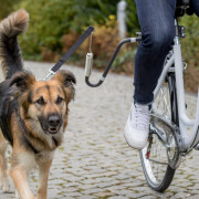 Barre vélo pour chien