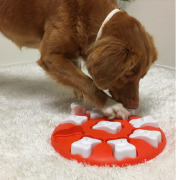 Jeu d'intelligence, stimulation, réflexion et occupation