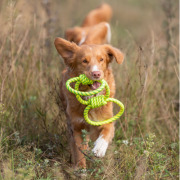 Corde de traction pour chien en TPR 42 cm