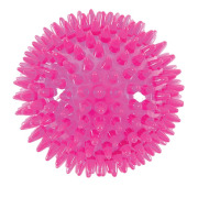 Balle avec picots pour chiot en TPR