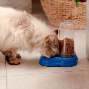 Distributeur eau et croquettes pour chat et chien