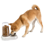 Distributeur eau et croquettes pour chat et chien