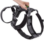 Harnais anti-fugue chien, 2en1 anti fugue, Safety Maldon