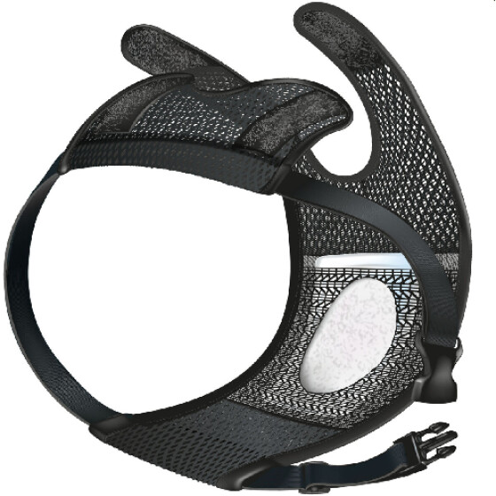 Couche pour chien femelle, en chaleurs