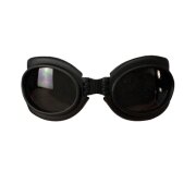 Lunettes de soleil pour chien