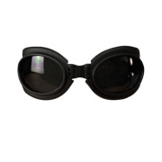 Lunettes de soleil pour chien