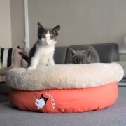 Panier pour chat original : extra doux Nid Tea Party ORANGE 