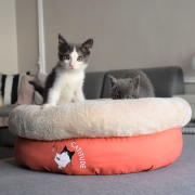 Panier pour chat original extra doux Nid Tea Party orange