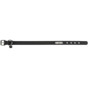 Collier pour chien hydrofuge et essuyable City Style noir