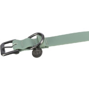 Collier pour chien hydrofuge et essuyable City Style sauge
