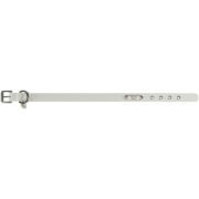 Collier hydrofuge et essuyable pour chien City Style gris