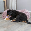 Panier orthopédique à mémoire de forme pour chien