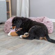 Panier orthopédique chien : mémoire de forme, couchage confortable Loki ROSE