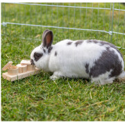 Jouet lapin bois naturel, stimule l’intelligence
