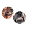 Anti tartre chien, algue naturelle, produit Pro