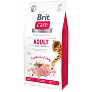 BRIT croquettes hypoallergénique pour chat actif