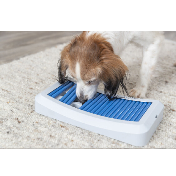 Jeu d’occupation pour chien, stimulation de l’intelligence