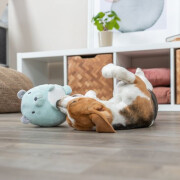 Peluche pour chiot, doudou