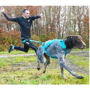 Harnais traction chien canicross PRO x-back phoenix