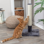 Poteau griffoir chat Batres