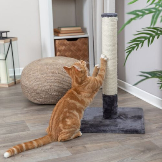 Poteau griffoir chat Batres