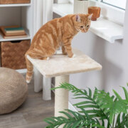 Poteau griffoir pour chat Baena