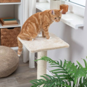 Poteau griffoir pour chat