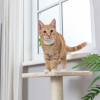 Poteau griffoir pour chat