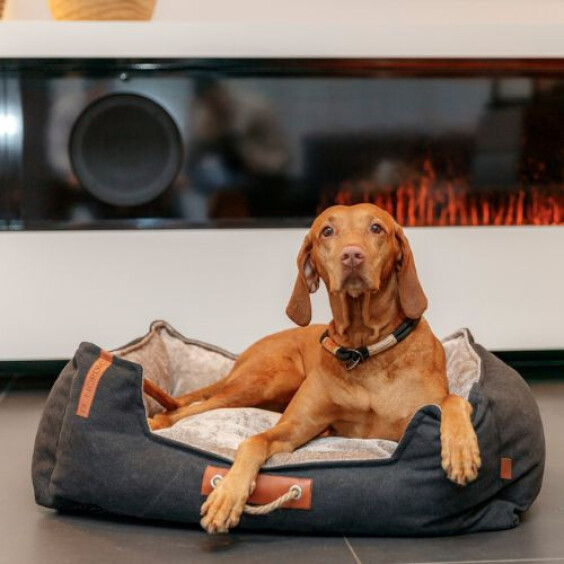 Panier déhoussable, lavable pour petit et gros chien