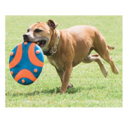 Frisbee résistant, flexible avec son pour chien