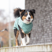 Manteau d’hiver polaire pour chien Oslo Jade