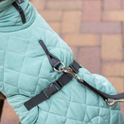 Manteau d’hiver polaire pour chien Oslo Jade