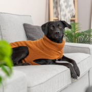 Pull chaud pour chien Berlin Rouille