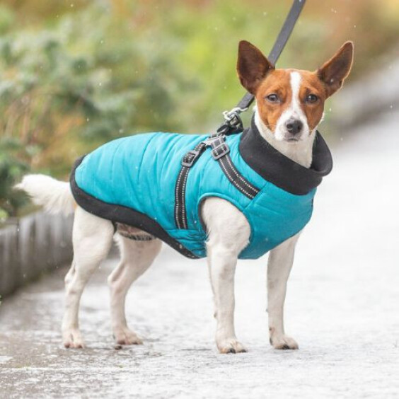 Manteau polaire bleu pour chien avec harnais intégré Pontis