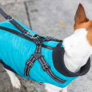 Manteau pour chien avec harnais intégré : Polaire, Pontis