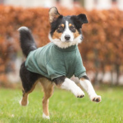 Sweat pour chien Amsterdam avec intérieur chauffant