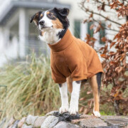 Sweat chien : Intérieur chauffant, passage harnais, Amsterdam
