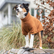 Sweat pour chien Amsterdam intérieur chauffant et passage harnais