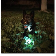 Balle pour chien lumineuse à recharge automatique XL