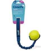 Jouet Interactif chien, Résistant, jeu de Traction, Tuggi