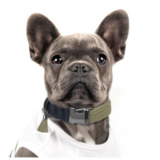 Colliers originaux pour Bouledogue Français Kaki, KAYA