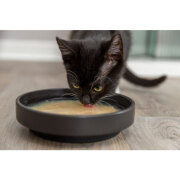 Soupe pour chat liquide, hydratation, Saumon Poulet, Taurine