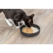 Soupe pour chat liquide, hydratation, Saumon Poulet, Taurine