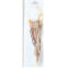 Os naturel fibules de jambon pour chien x3