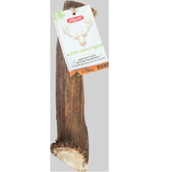 Bois de Cerf entier XXL pour gros chien